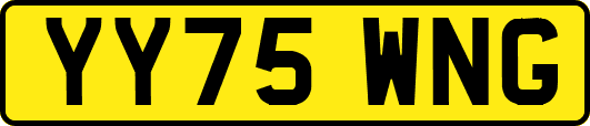 YY75WNG