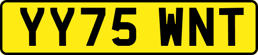 YY75WNT