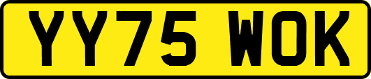YY75WOK