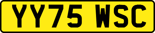 YY75WSC
