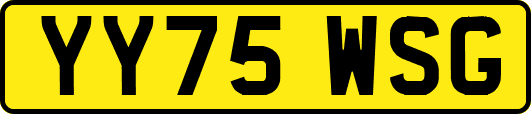 YY75WSG