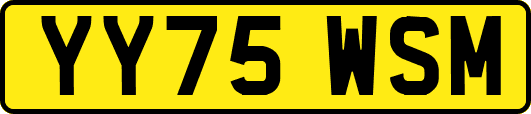 YY75WSM