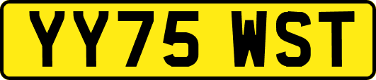 YY75WST