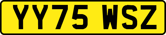 YY75WSZ