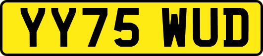 YY75WUD