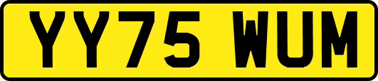 YY75WUM