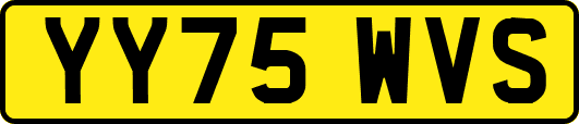 YY75WVS