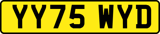 YY75WYD