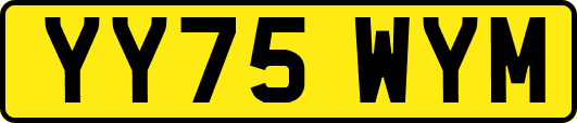 YY75WYM