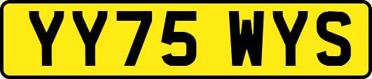 YY75WYS