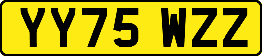 YY75WZZ
