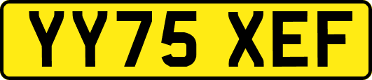 YY75XEF