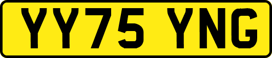 YY75YNG