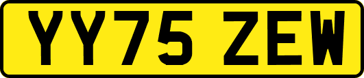 YY75ZEW