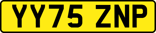 YY75ZNP