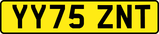 YY75ZNT