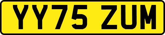 YY75ZUM