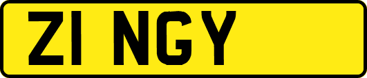 Z1NGY